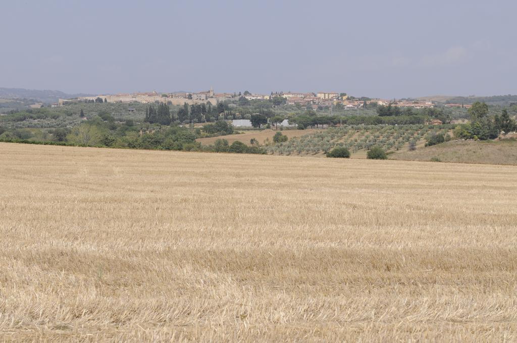 Le Tartarughe Rooms Magliano in Toscana Exterior foto