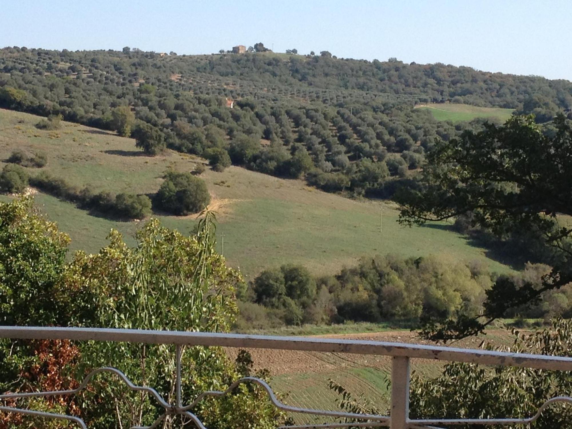 Le Tartarughe Rooms Magliano in Toscana Exterior foto