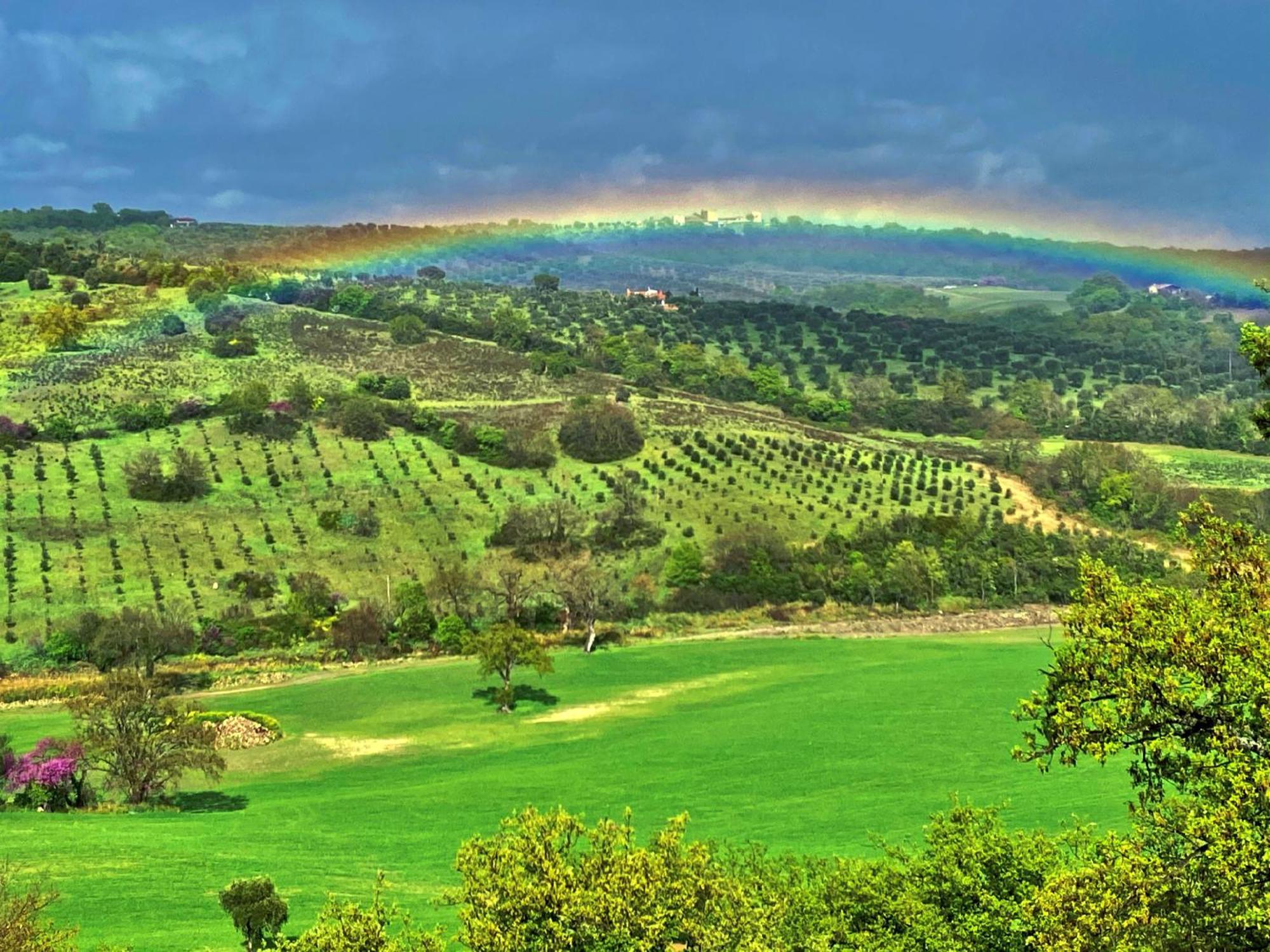 Le Tartarughe Rooms Magliano in Toscana Exterior foto