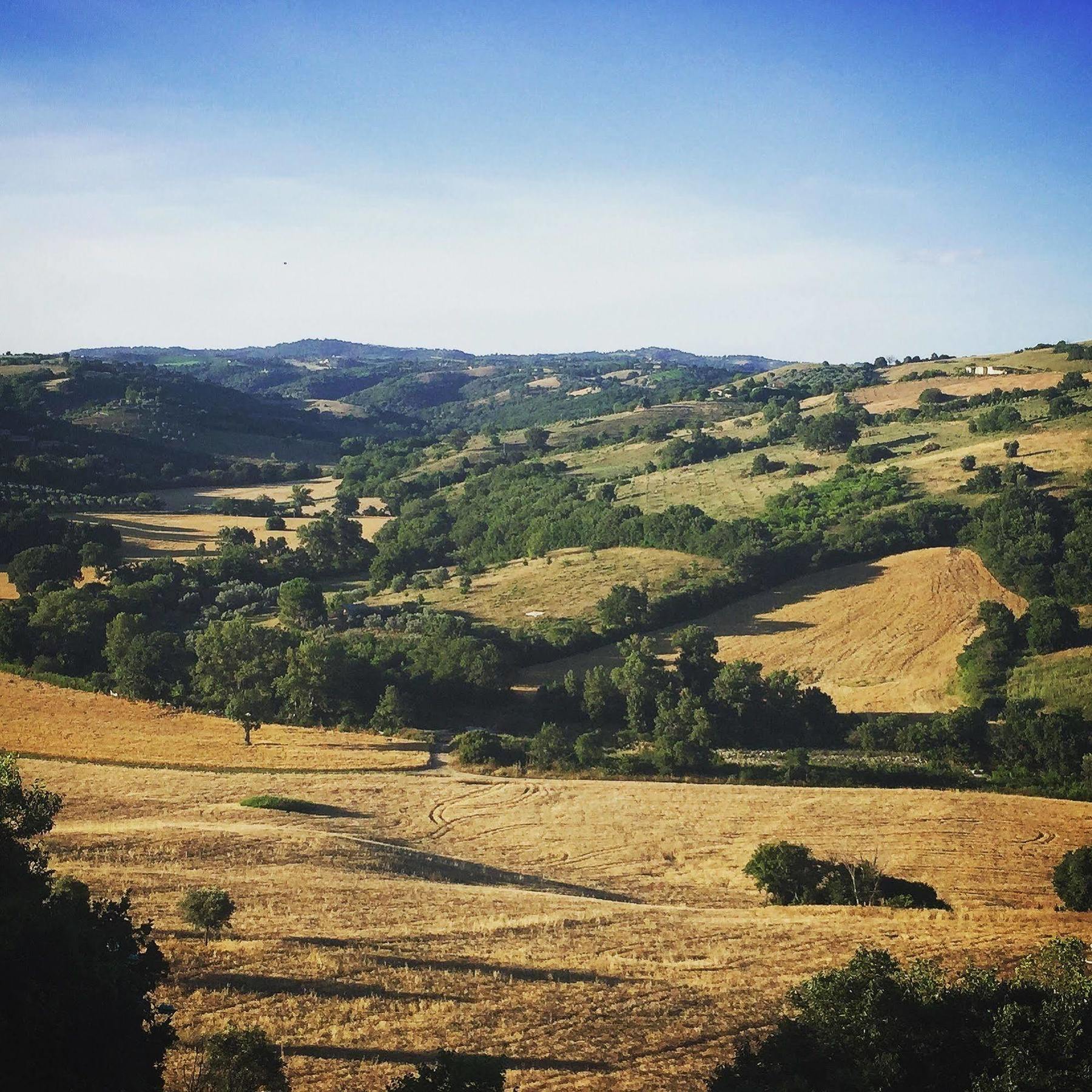 Le Tartarughe Rooms Magliano in Toscana Exterior foto