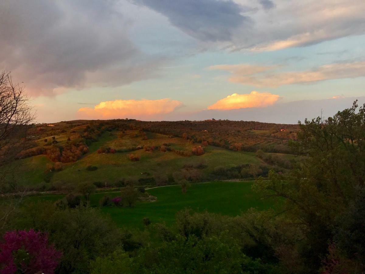 Le Tartarughe Rooms Magliano in Toscana Exterior foto